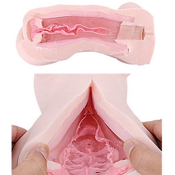 Magic Eyes - Internal Structure of a Moe Body